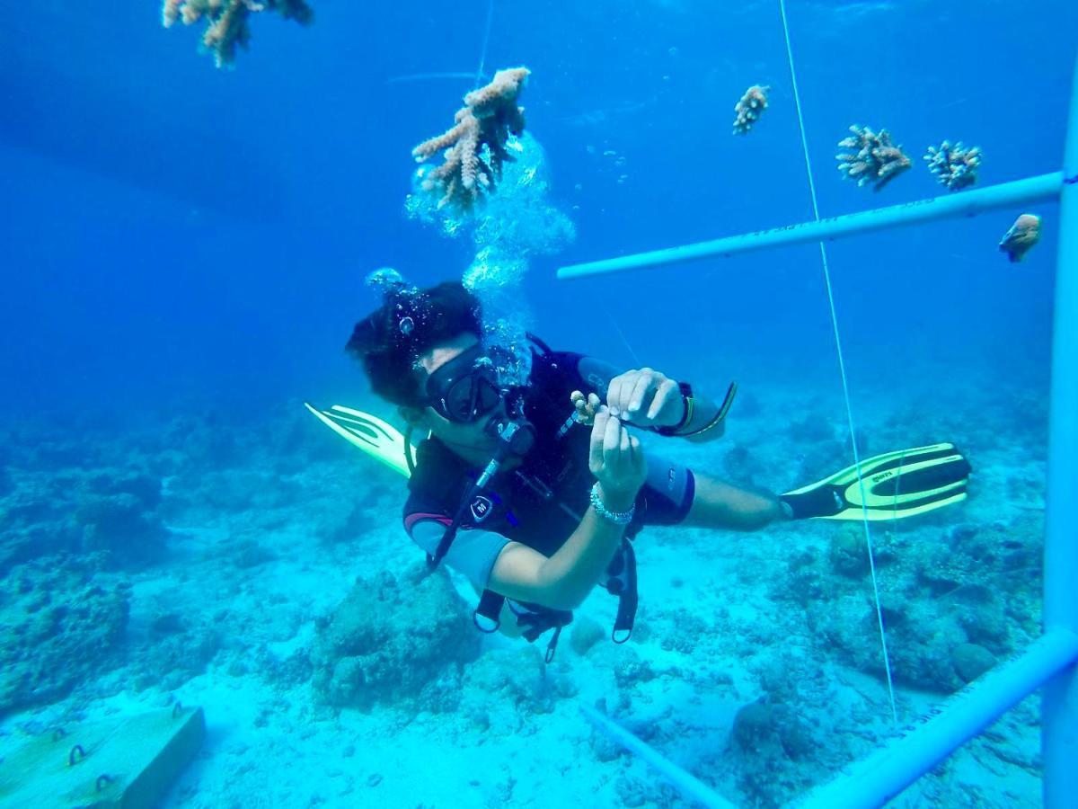 The Barefoot Eco Hotel Hanimaadhoo Island Esterno foto