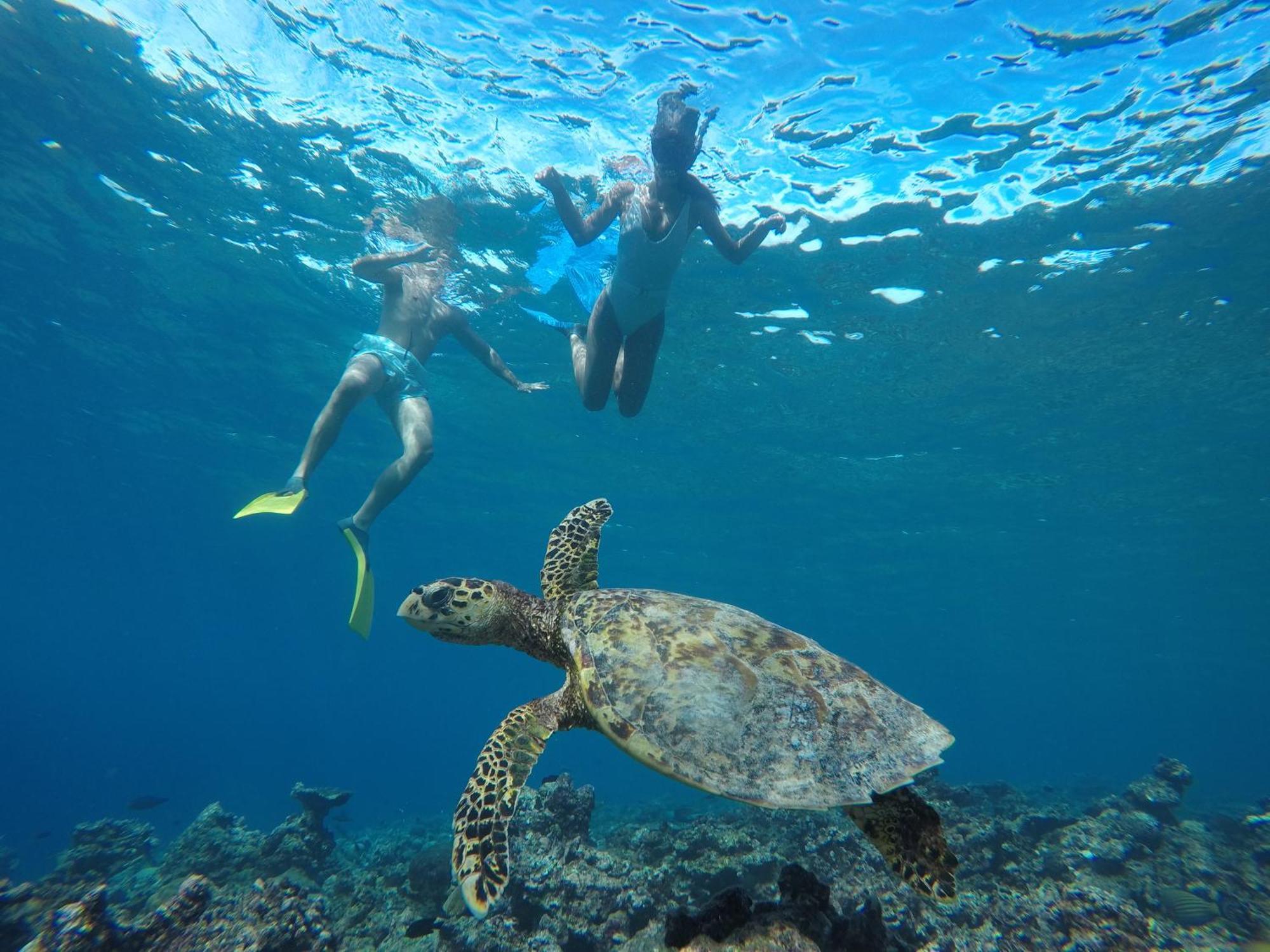 The Barefoot Eco Hotel Hanimaadhoo Island Esterno foto